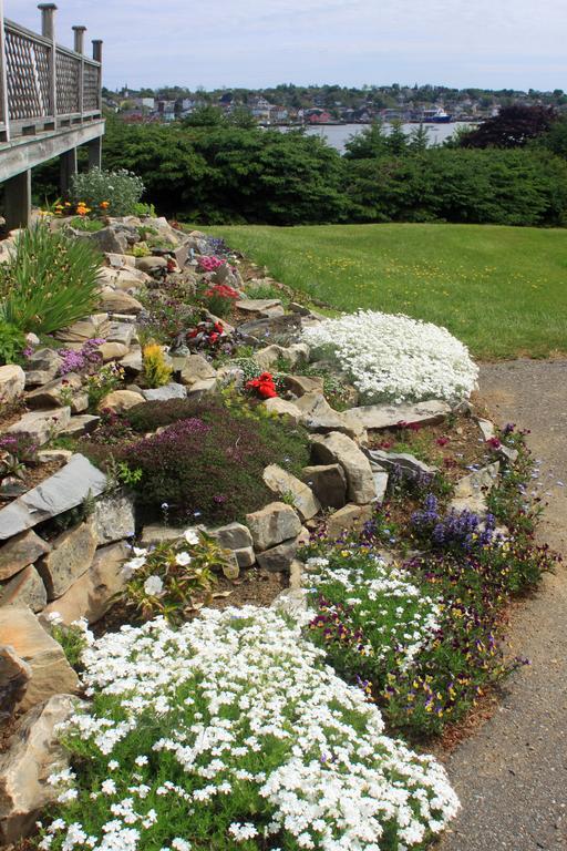 Topmast Motel Lunenburg Dış mekan fotoğraf
